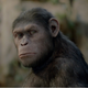 Illustration for article titled Rise of the Planet of the Apes might be the most realistic ape revolution movie ever